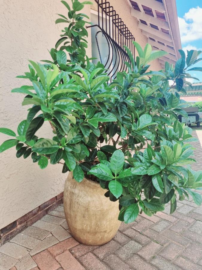 Isabel'S B & B Krugersdorp Exterior foto